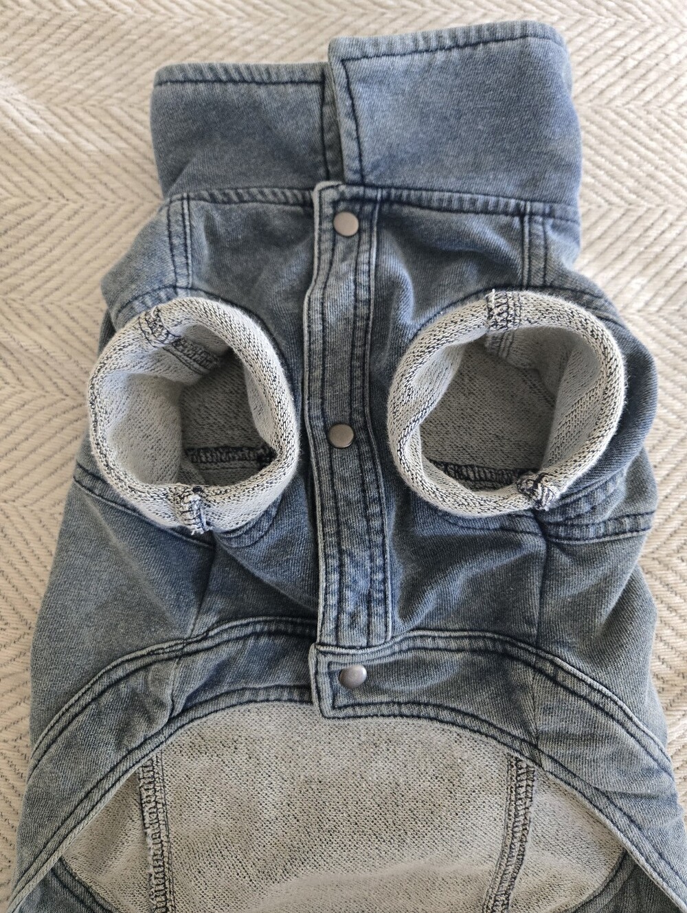 Denim-Style Blue Dog Jacket - Brand